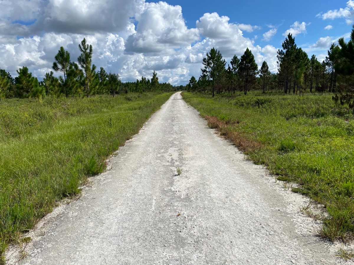 Ridge Road photo 3