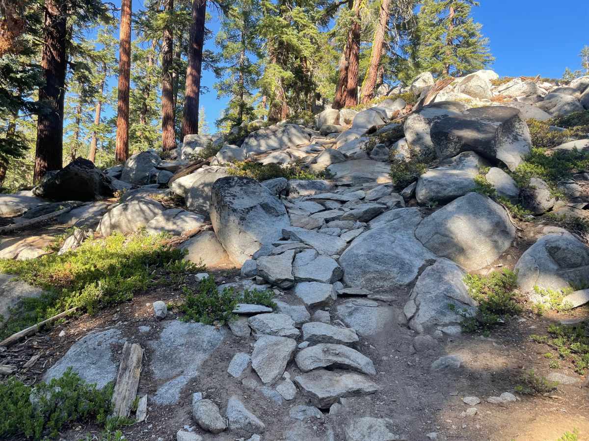 Kingsbury Stinger Trail trail photo