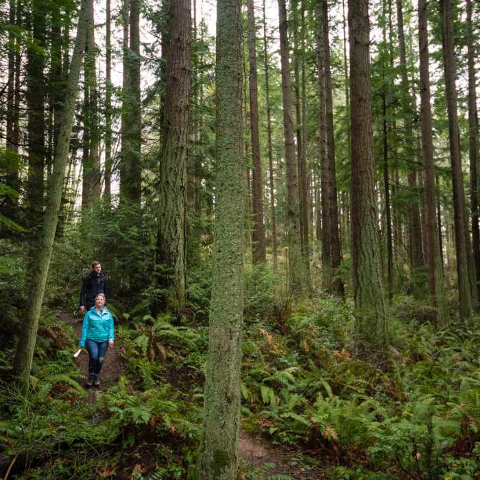 Near Douglas Fir Trail