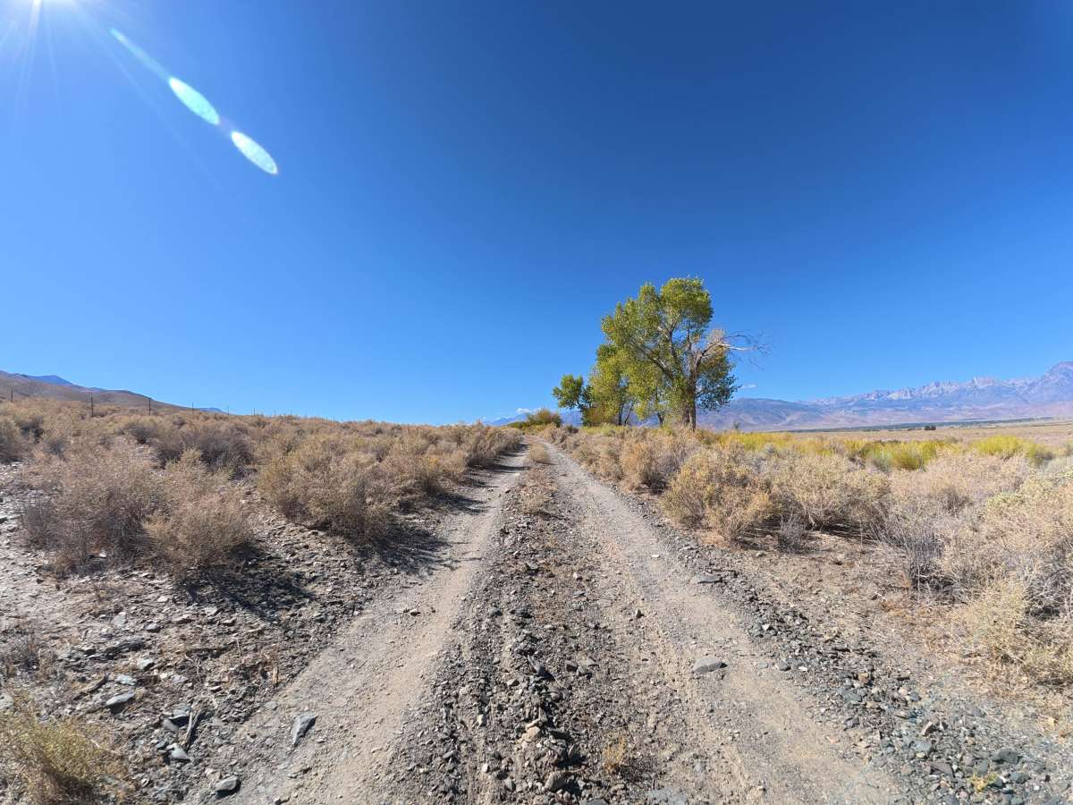 Silver Canyon Road photo 6