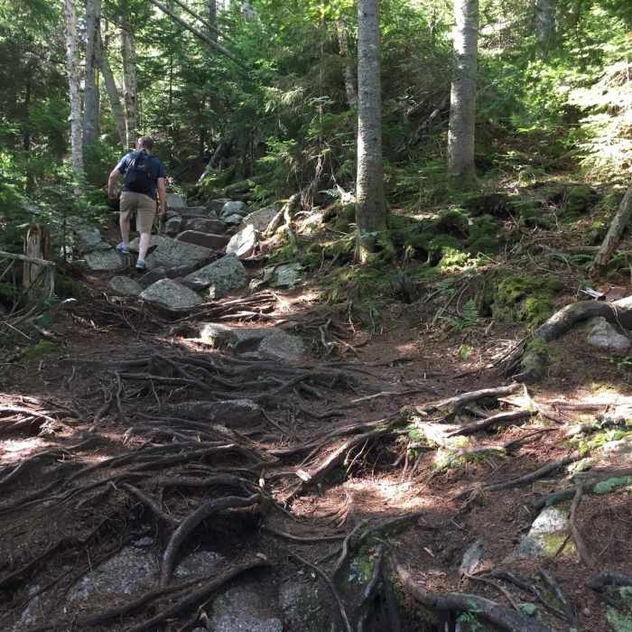 Near Mt. Tecumseh Trail