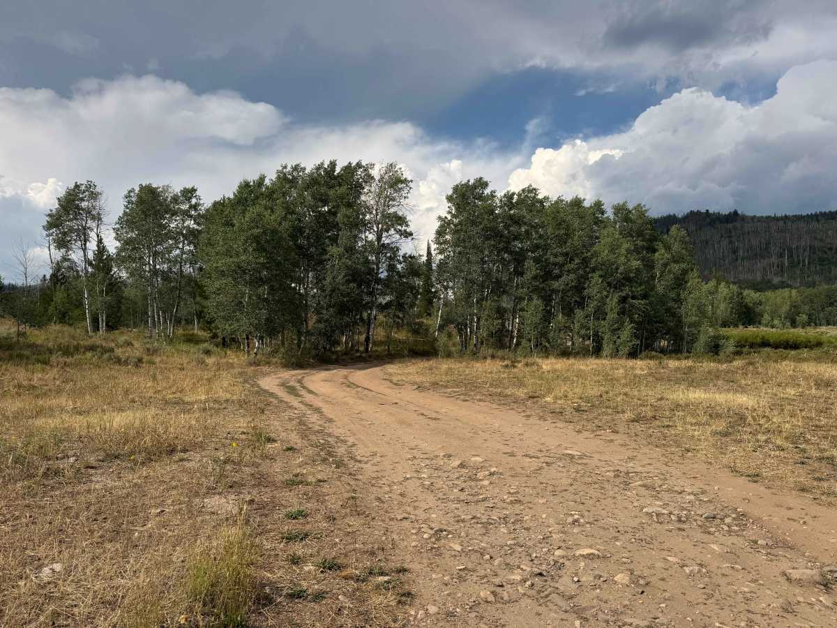 Hinman Lake Road photo 3