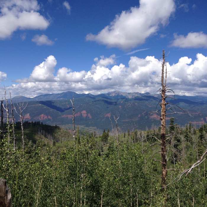 Near Missionary Ridge