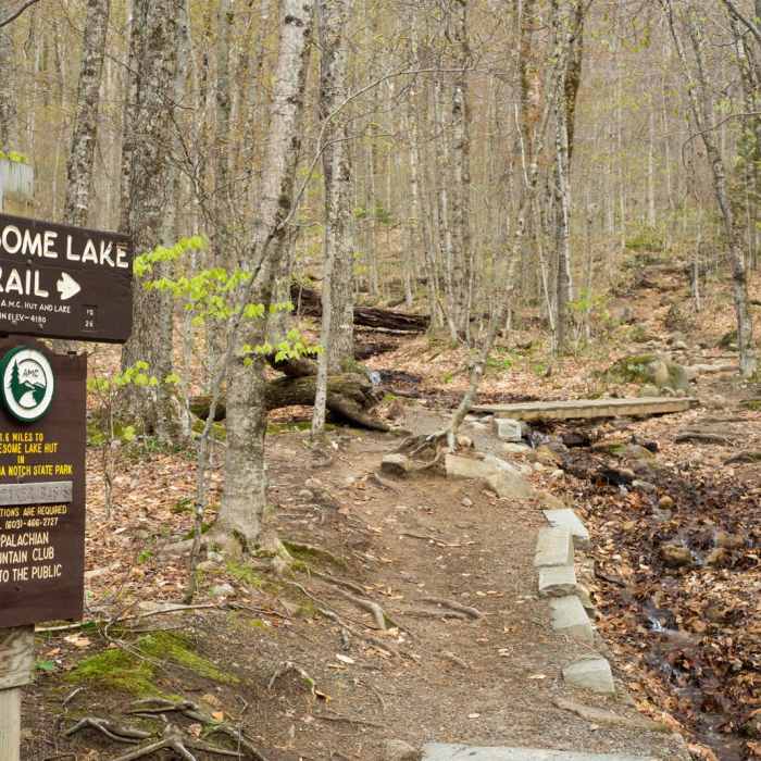Near Lonesome Lake Trail Near Lonesome Lake Trail