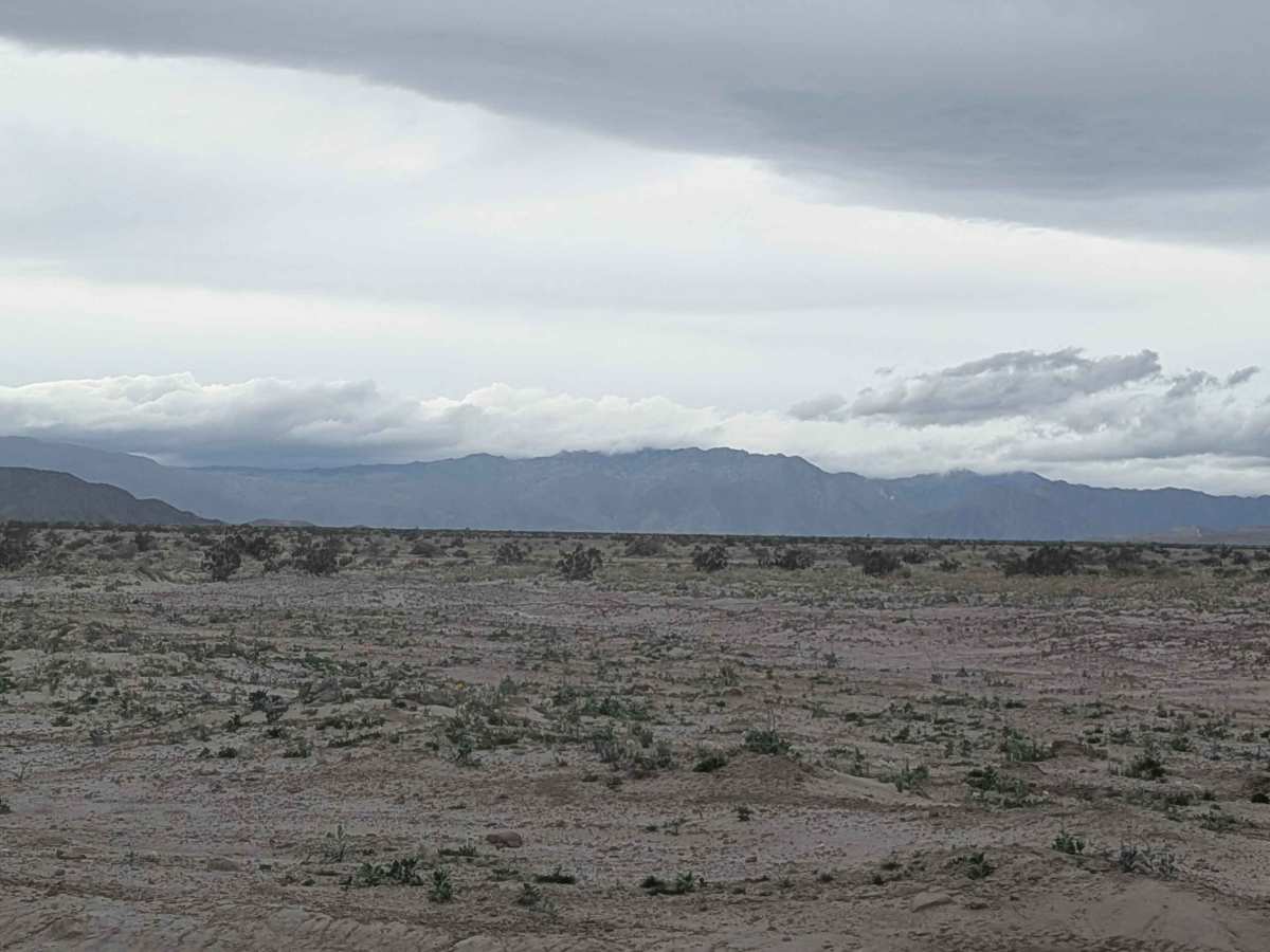 Textbook Trail photo 5