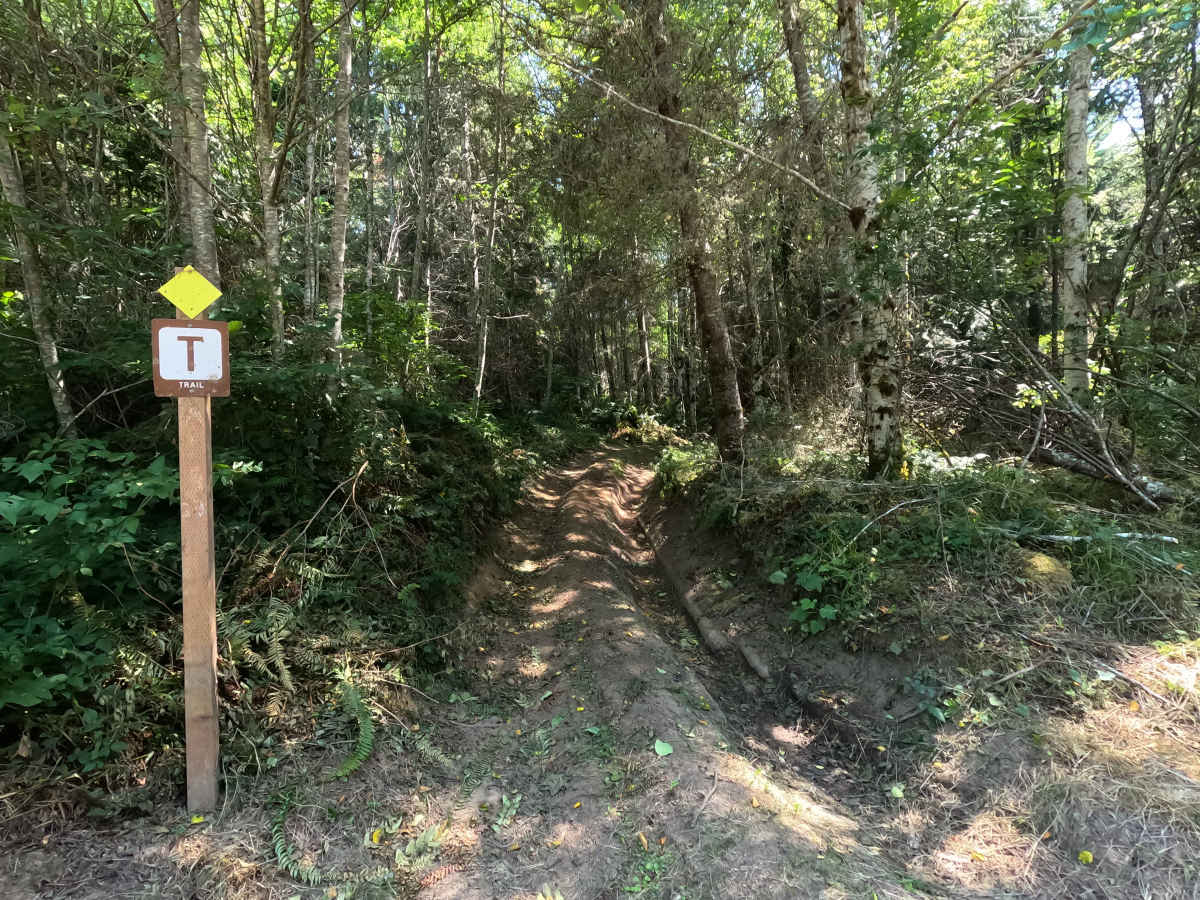 Sinker Swamp photo 6