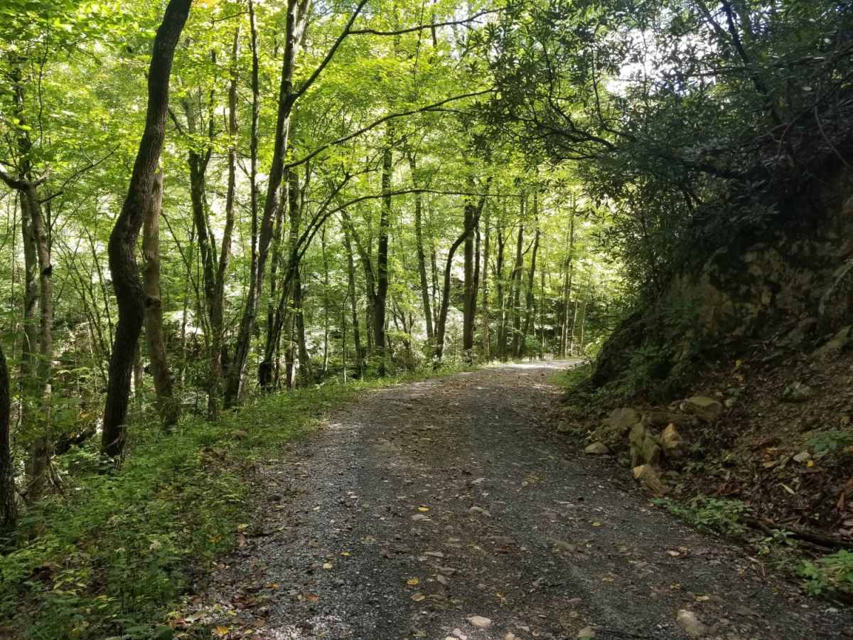 Jacobs Creek trail photo