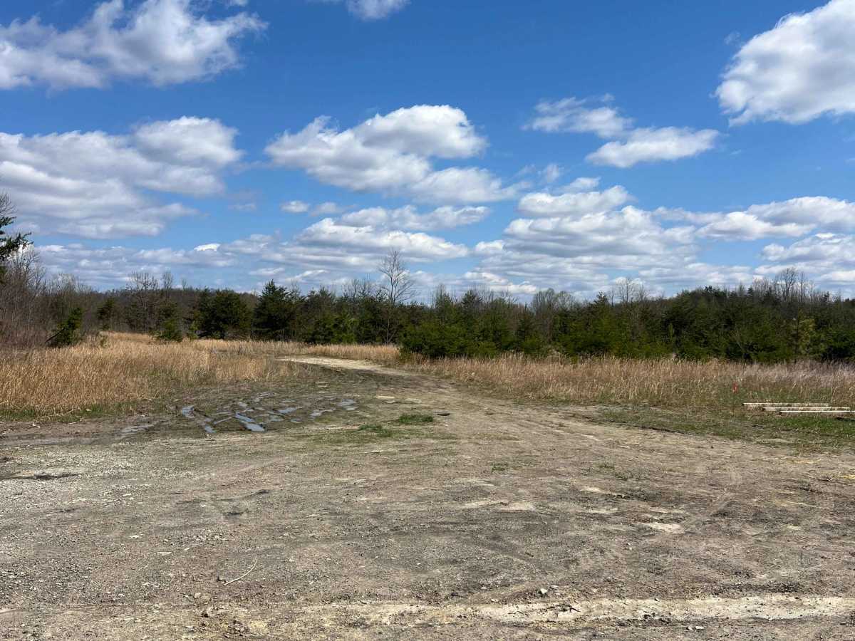 Q52 trail photo