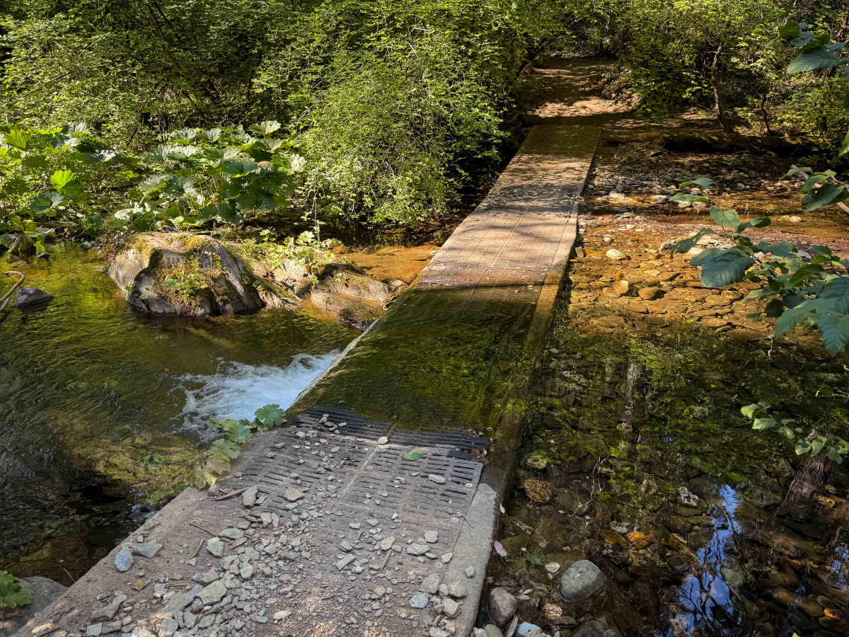 Trail 9 ATV (11E13)  photo 6