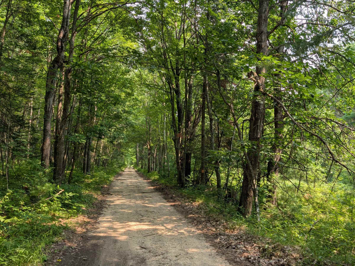 Walker Road photo 5