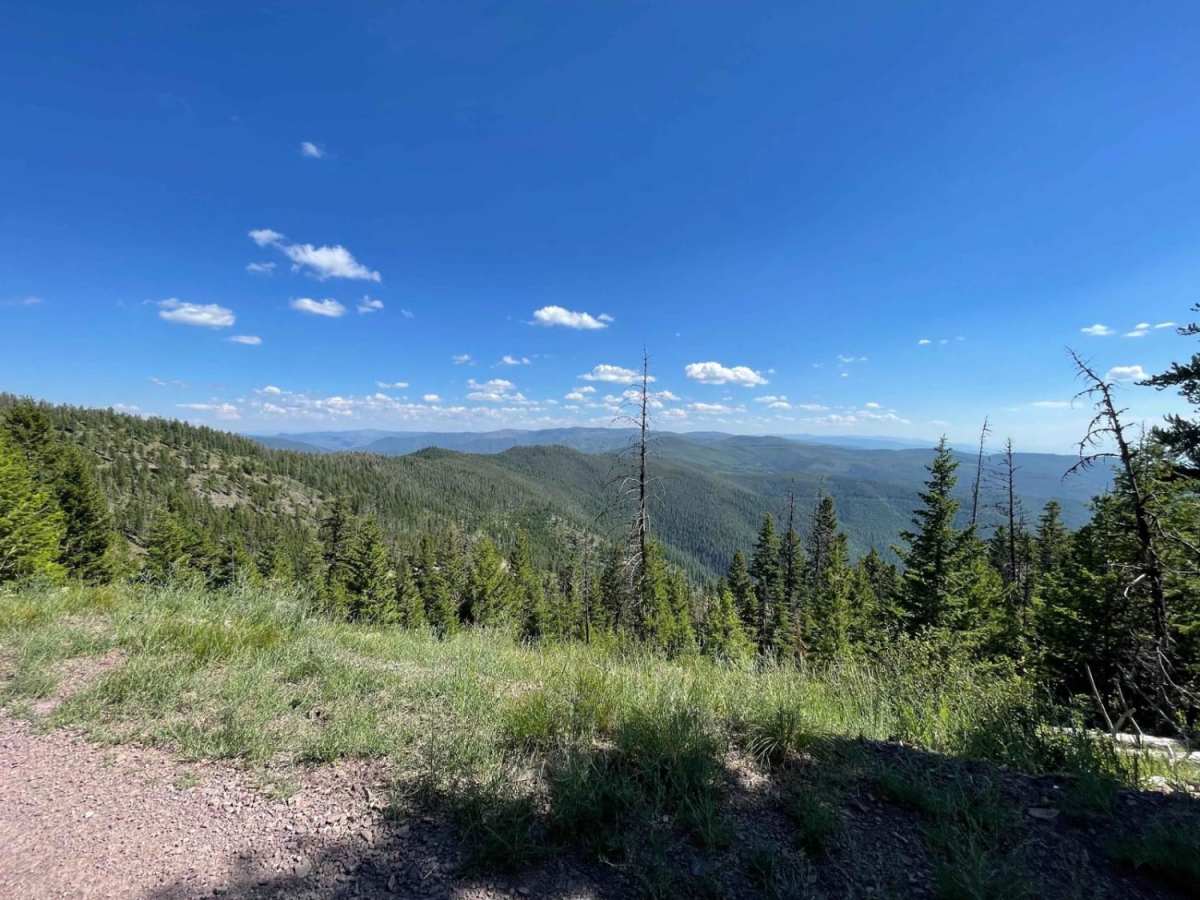 Miller Peak trail photo