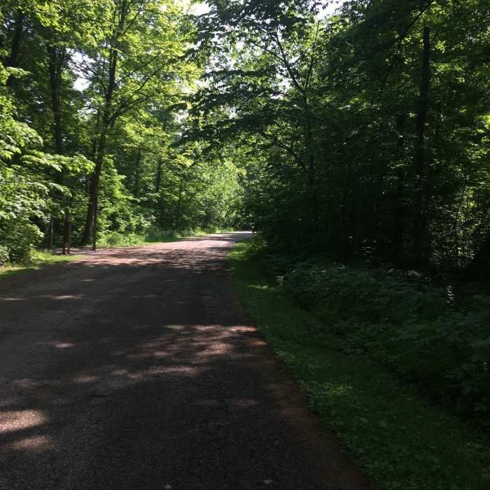 Near Sharon Woods Super Sampler