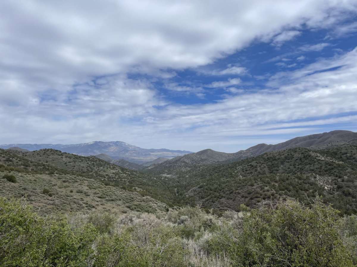 East Fork of Beaver Dam Wash trail photo