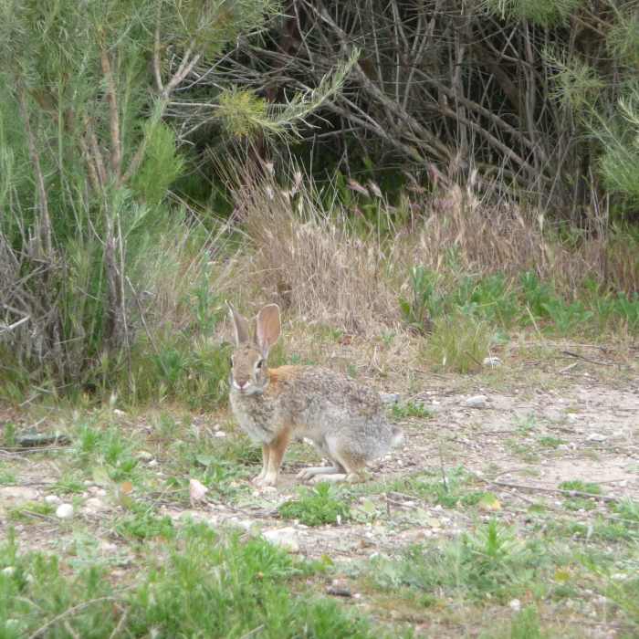 Near Moro Canyon Trail