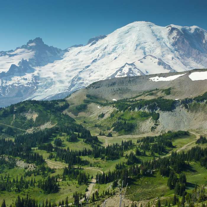 View of Rainier and Liberty Cap above Westside Road Near Klapatche Park