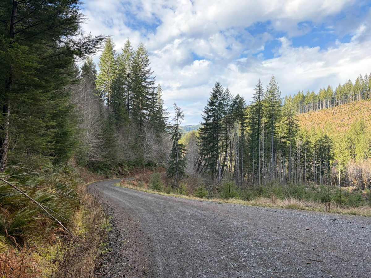 Ginger Creek Road trail photo