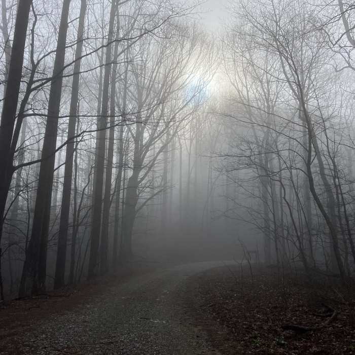 Near Pinhoti Trail: Section 31