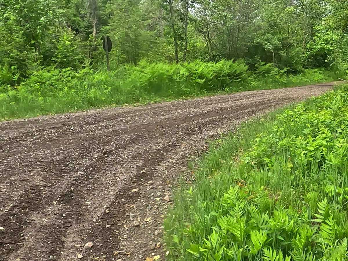 ORV Route C - Champion photo 3