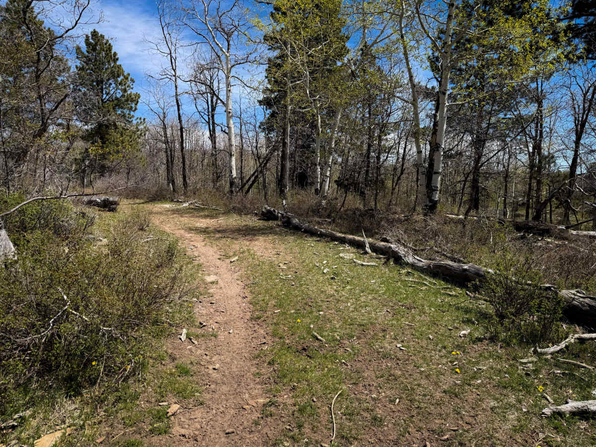 Upper 2 Mile Loop Connector  photo 4