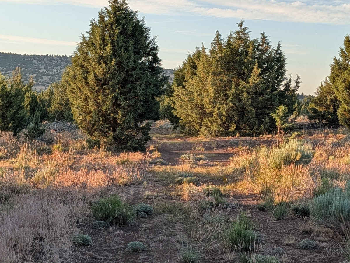 Panhandle Lake - FS 47N21 trail photo