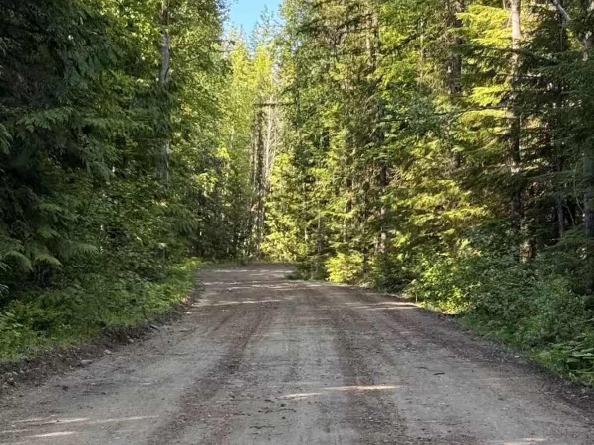 Hidden-Baird Road photo 5