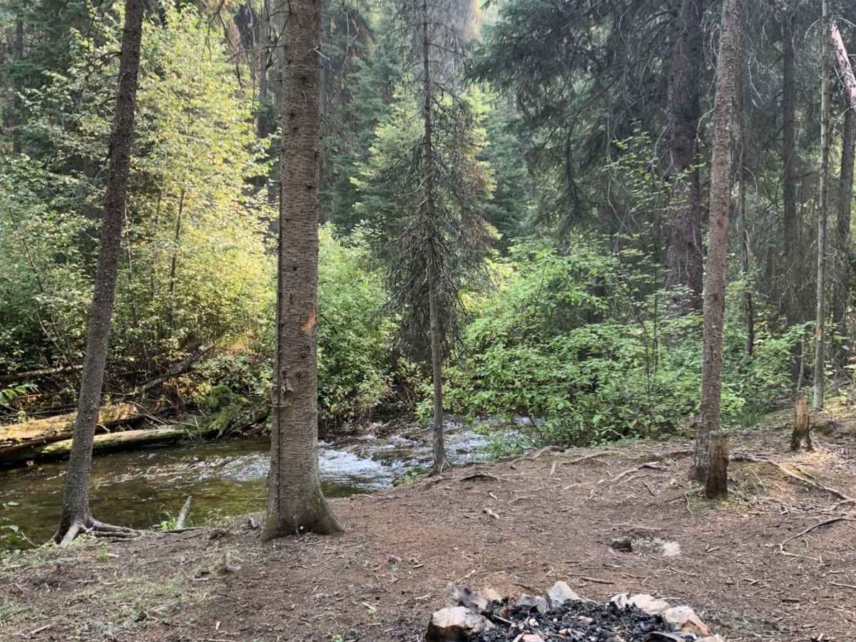 Gold Creek Trail photo 2