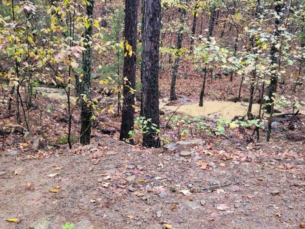 Pond Camp Special photo 5