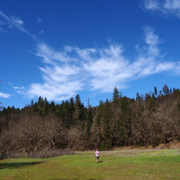 Near Elk Creek Trail