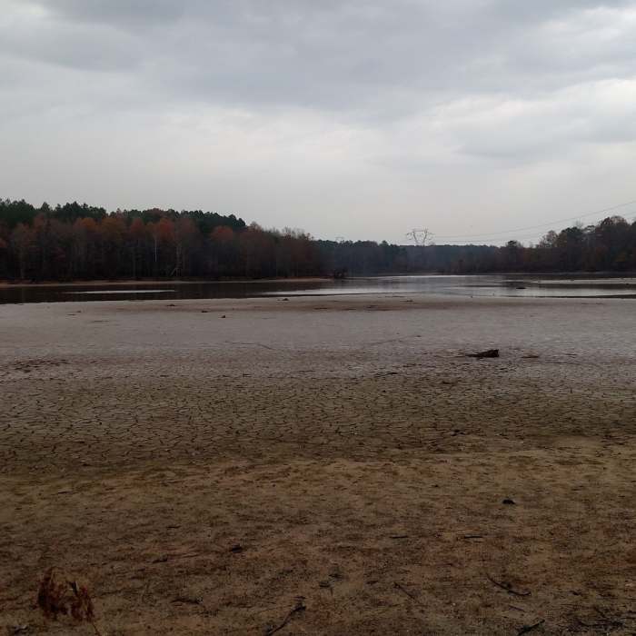 Near Jimmy Rogers Road Out-and-Back