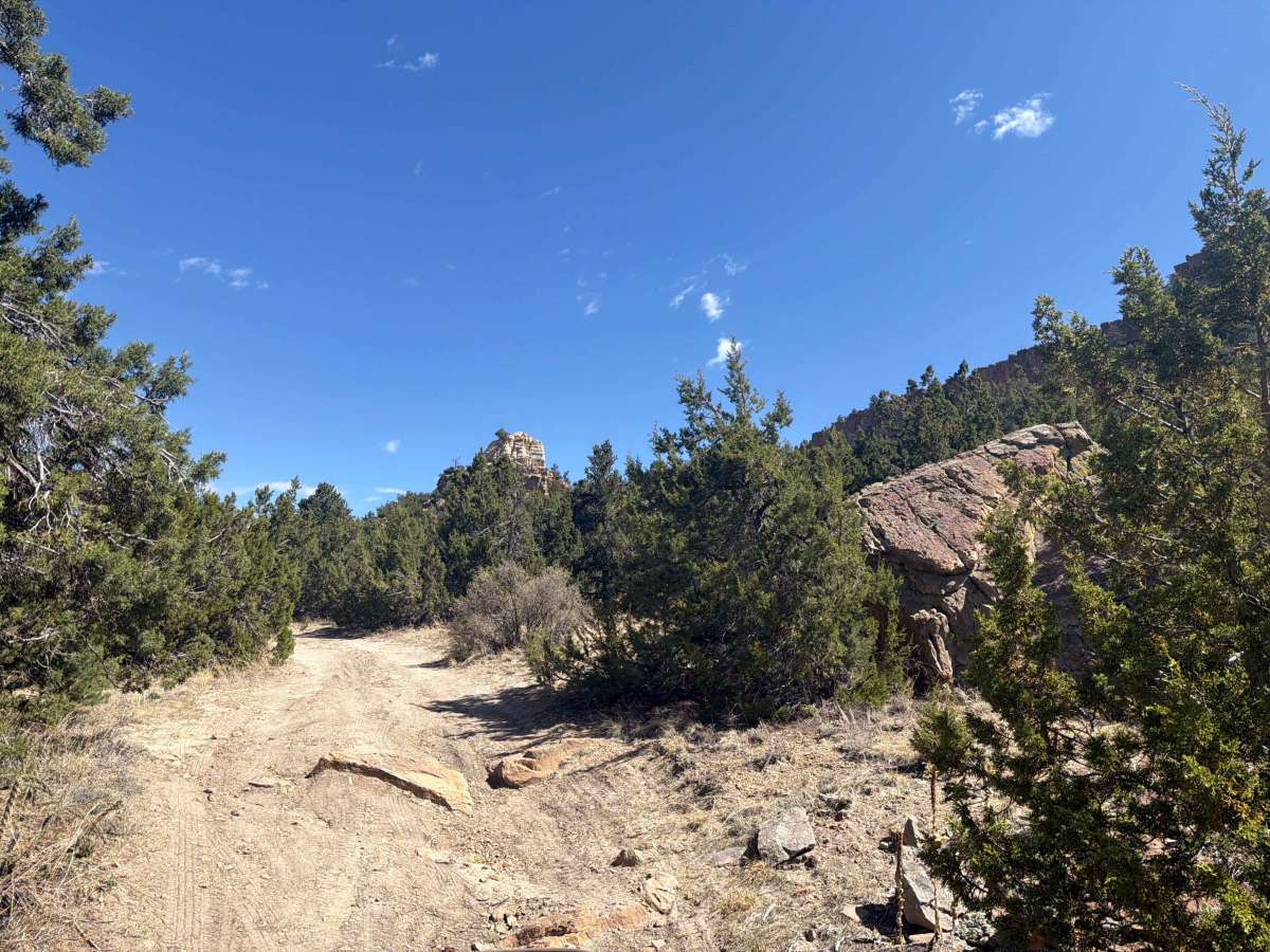 BLM 5941B trail photo
