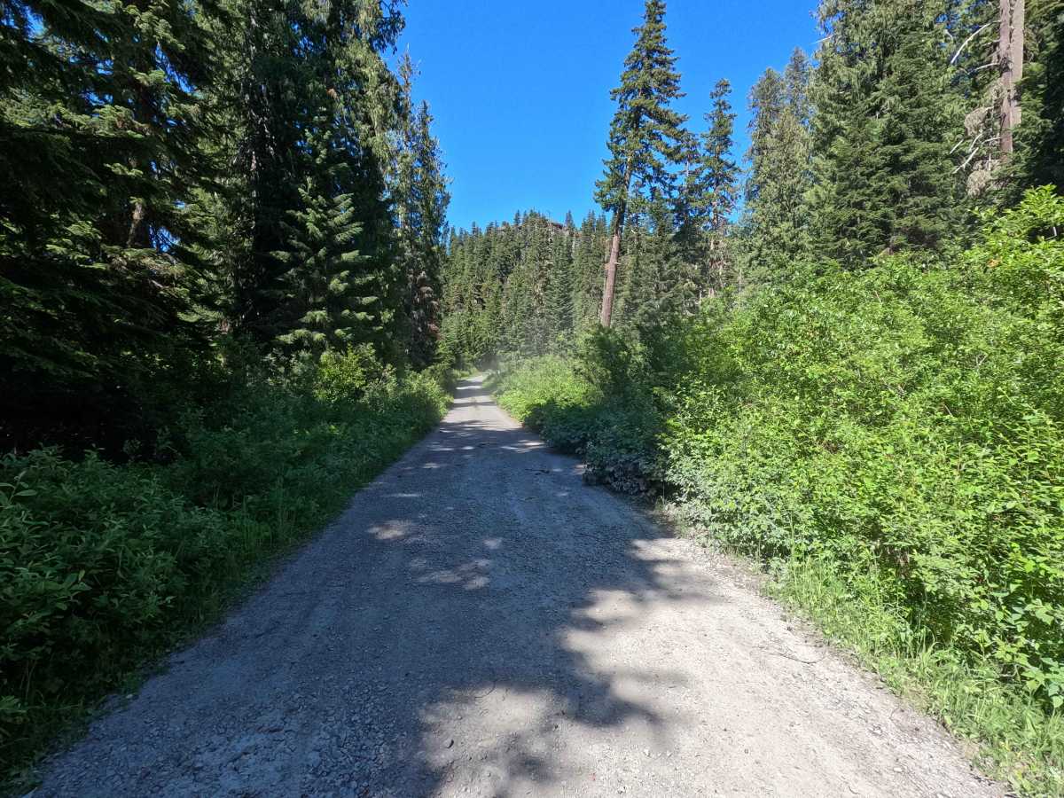 Cooper Road - FS 46 photo 5