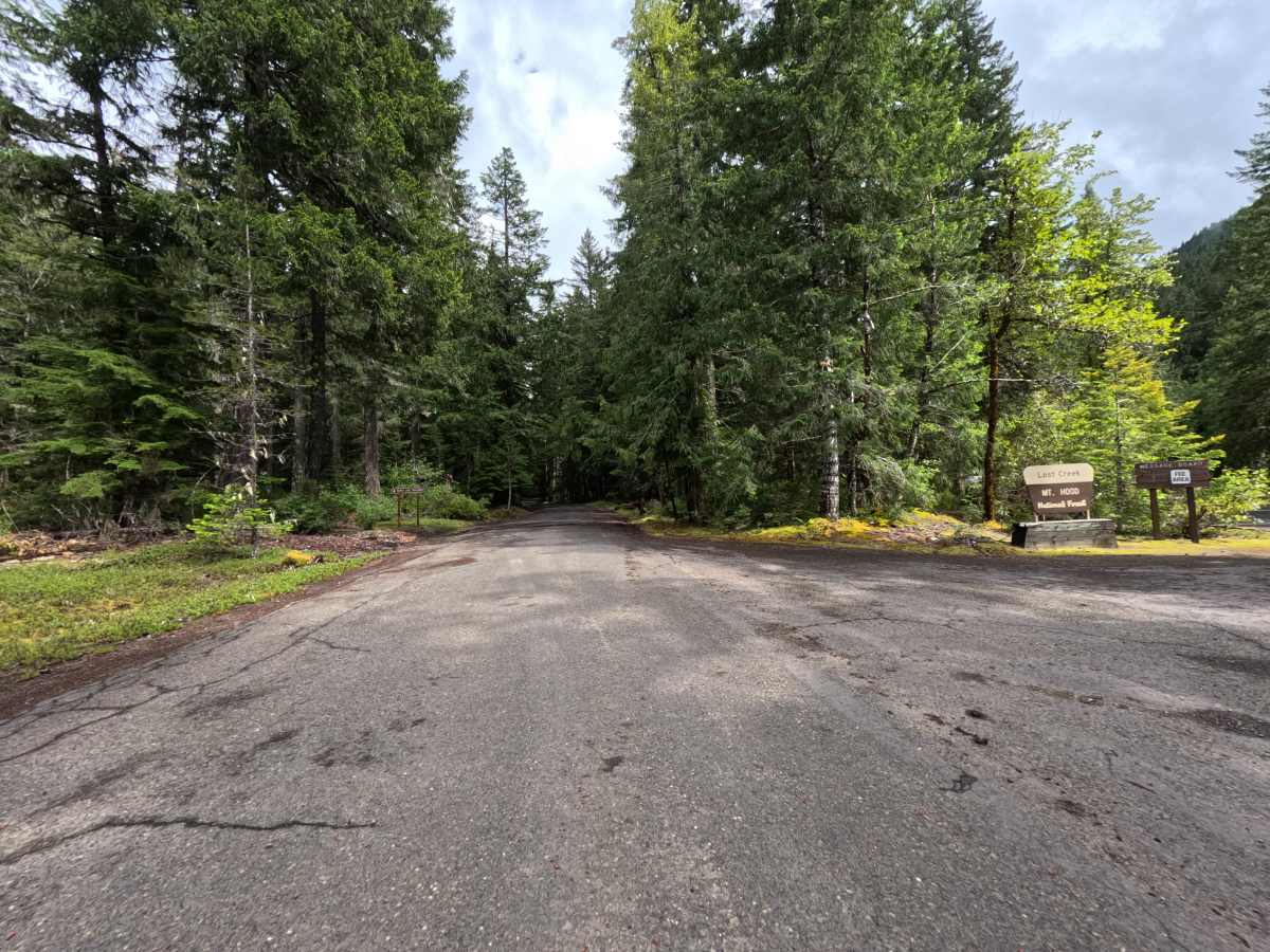 Burnt Lake Trailhead - FS 1825109 trail photo