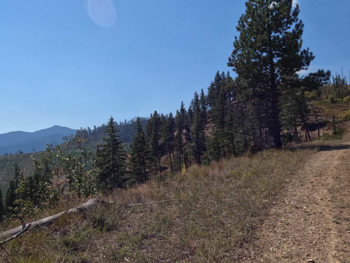 Quartz Ridge trail photo