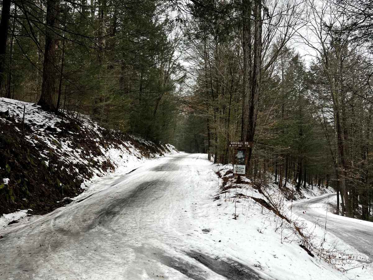 Goodall Road trail photo