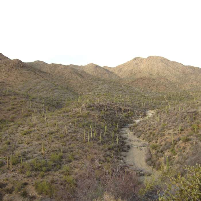 Near King Canyon Wash