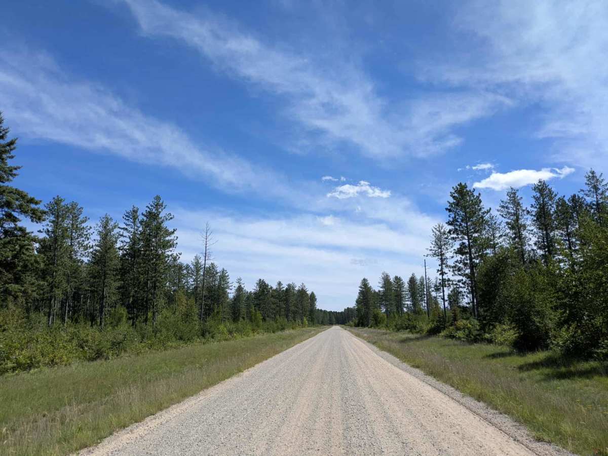 Thompson Forest Road  photo 4