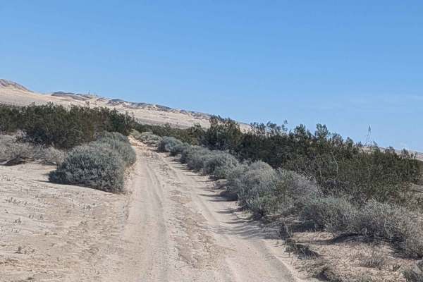BLM 201
