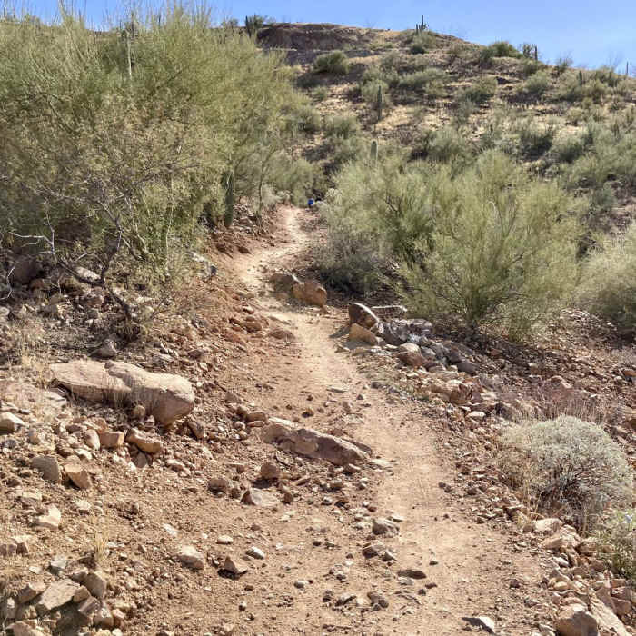 Near Rock Wren Trail