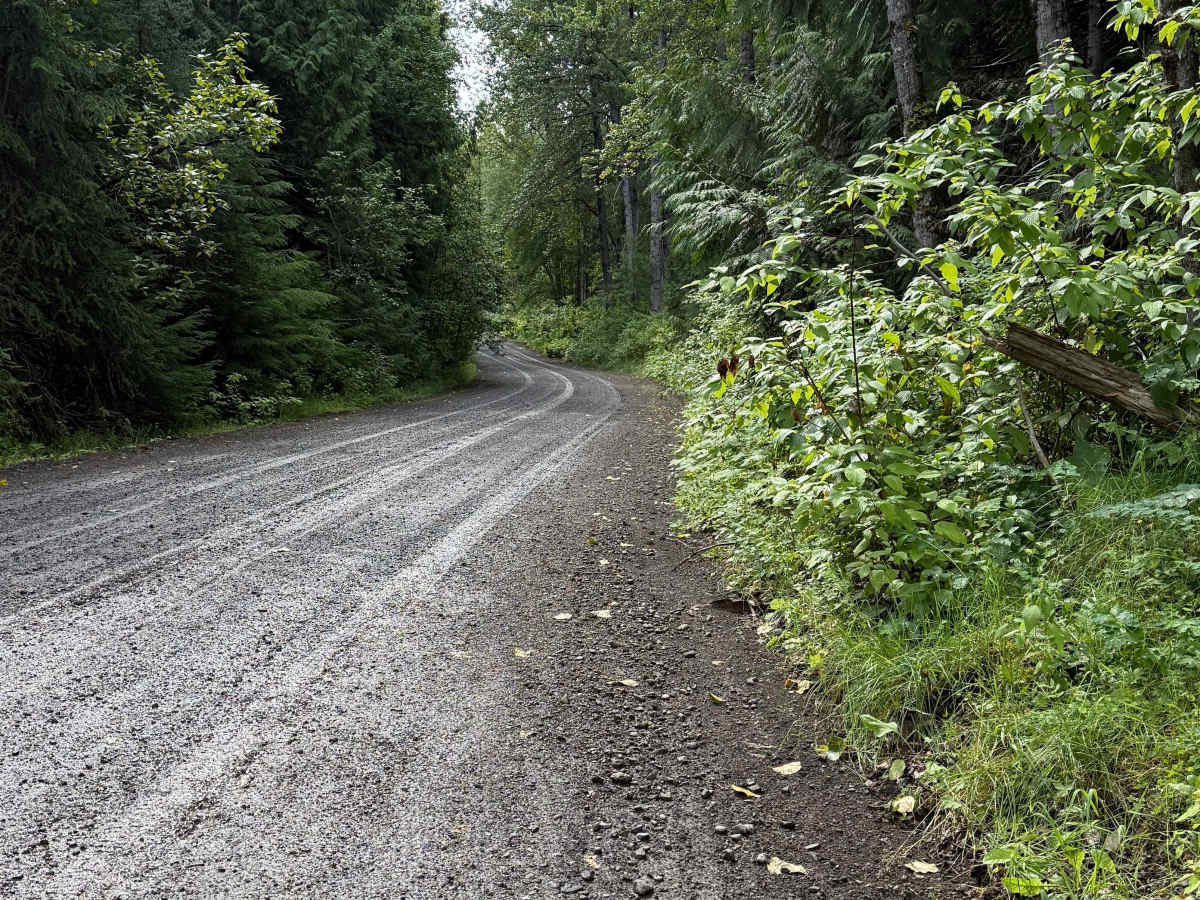 Kitwancool Road trail photo