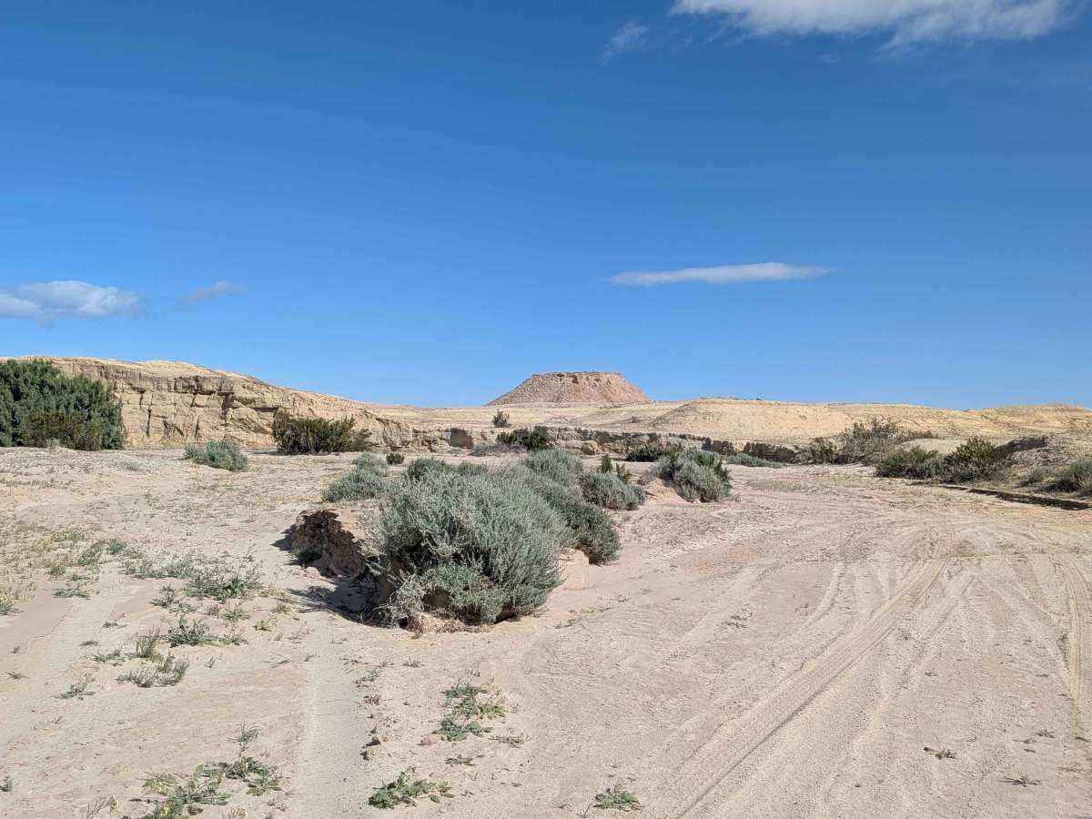 BLM 310 photo 5