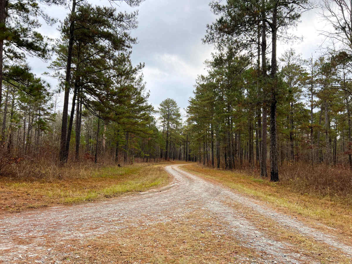 Barron Russell Road photo 2