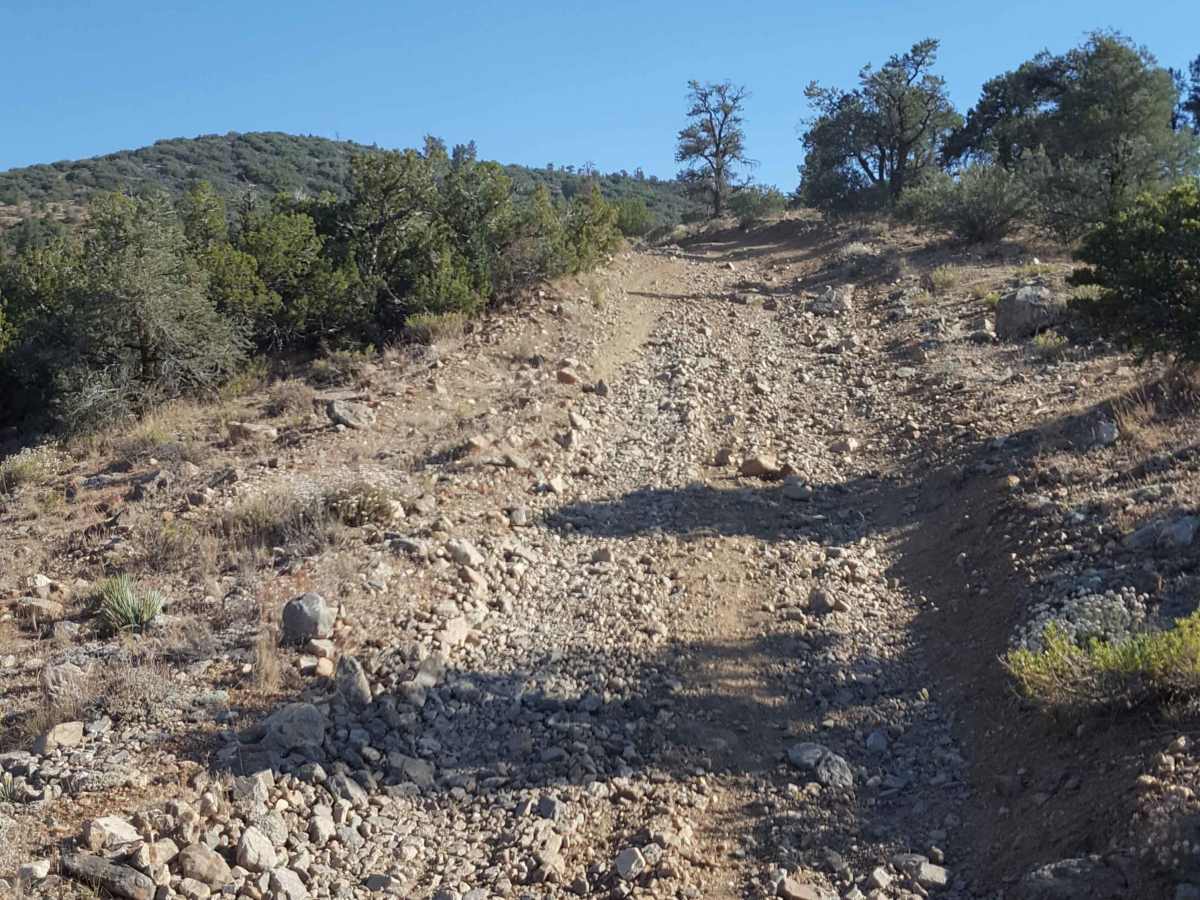 West Frazier Trail - FS 20W03 photo 4