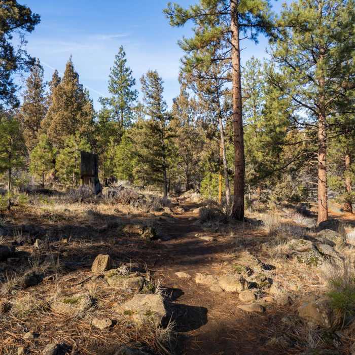 Near Canyon Loop Trail