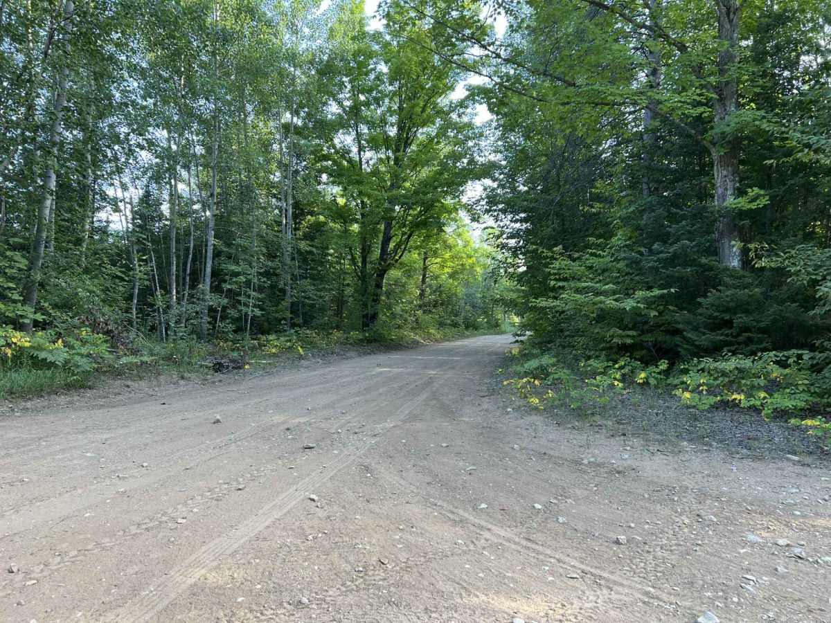Westman Dam Road trail photo