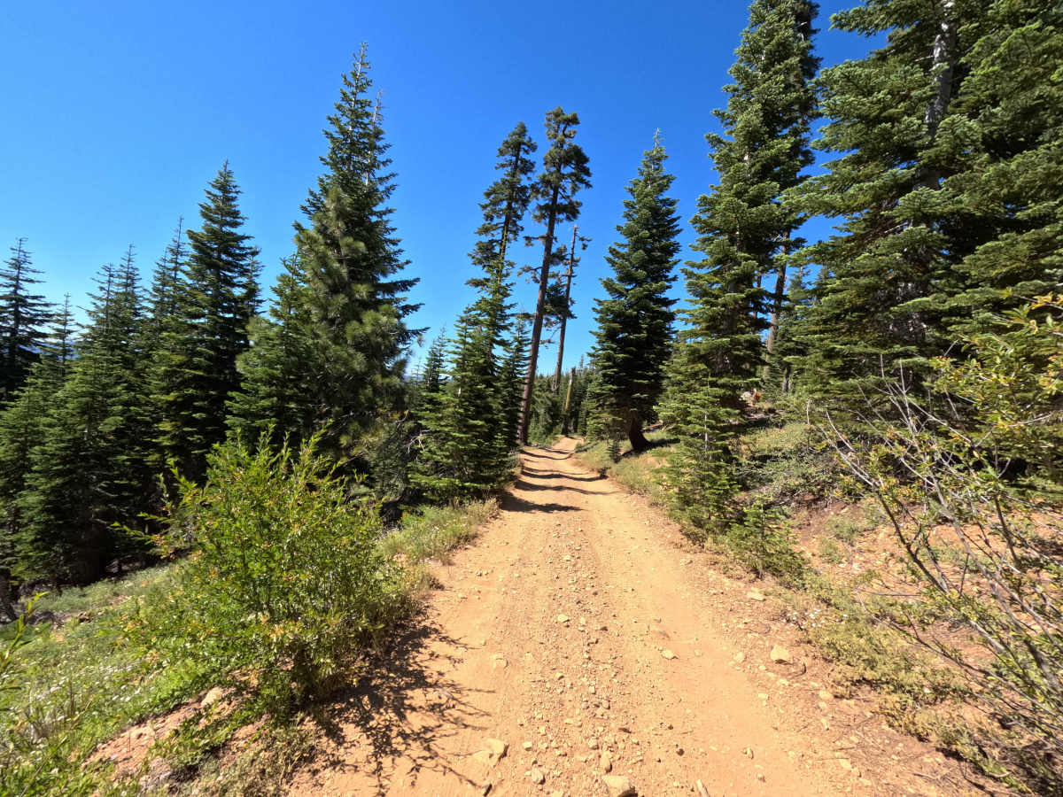 Lots A Lakes OHV Trail - FS 12E66 photo 5