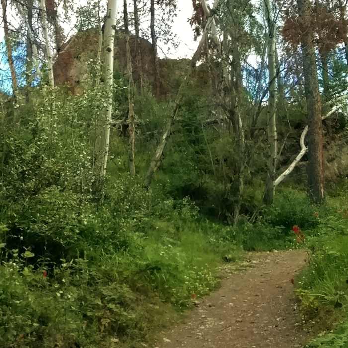 The wooded northeastern side of the Old Fort Point Loop trail. The red flowers are paintbrush. Near Old Fort Point Loop