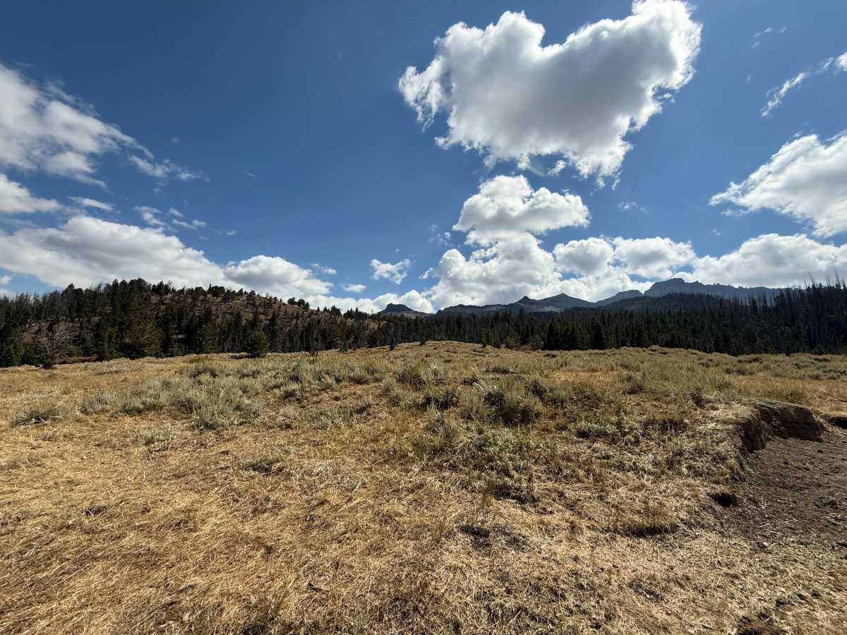 Belknap Access Road photo 3