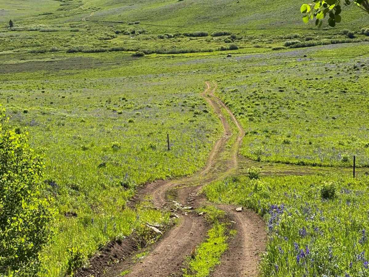 Corral Point Road trail photo
