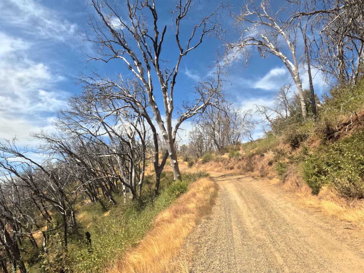 Footman Ridge - FS 5S025 trail photo