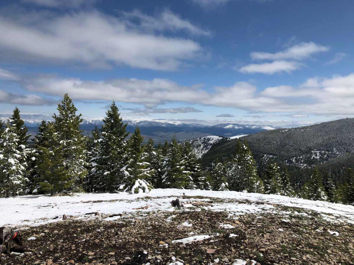 Blue Mountain photo 4